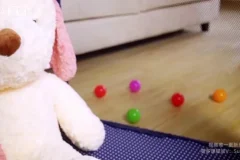 崔璀：高效自我管理实战课，职场与生活双赢