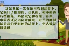 云舒写小学3-4年级写作素材课程(第二期)