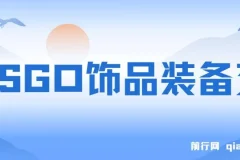 CSGO饰品装备交易,2024年最佳副业项目,  轻易操作