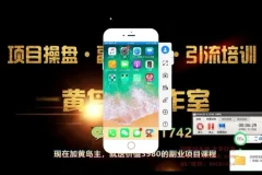 小红书无货源电商项目实战教程第8期