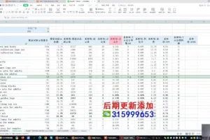 跨境飞哥(广告付费流量优化高阶课程第23期)用数据驱动决策