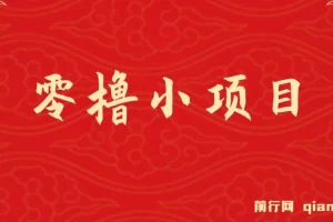 零撸小项目，单号每月60+收益，多号多撸！拉新一个18元