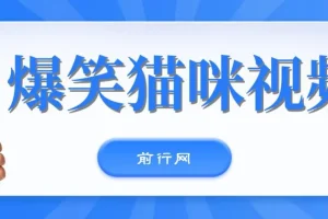 爆笑猫咪视频：简单操作，日入过K，视频号搞钱新策略