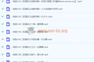 2024年高三高考数学 肖晗数学 S寒假班