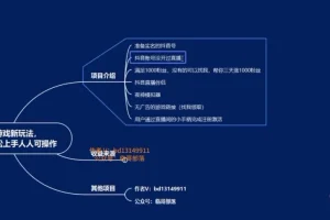 抖音无人直播汉字游戏变现指南