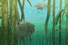 《你好世界》全10集超清版