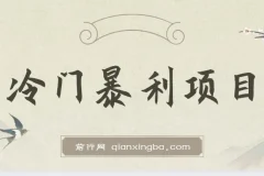 冷门暴利项目，一单利润率可达900%，日入600+适合小白0基础（教程+素材）