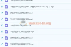 王慧志硬笔书法私房课程28+72节课