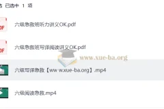 大学英语 2025刘晓燕四六级急救班（保命班） 6月12月