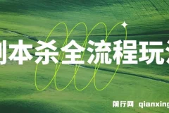 剧本杀全流程玩法，适合所有朋友，虚拟资源单天200-500收溢