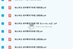 核心考点-初中数学