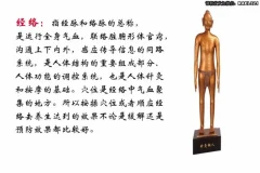 男士健康：高思楠补肾宝典