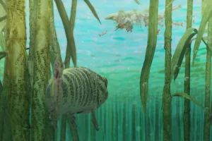 《你好世界》全10集超清版