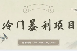 冷门暴利项目，一单利润率可达900%，日入600+适合小白0基础（教程+素材）