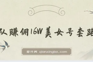 树敌x抖军团官方课 – 团队赚佣16W美女号套路