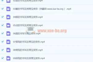 王慧志硬笔书法私房课程28+72节课