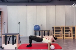 李欣普拉提52节精编课：30天塑形燃脂+脊柱调理