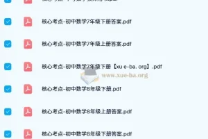 核心考点-初中数学