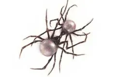 Doja Cat《Scarlet》[无损FLAC/MP3/714MB]