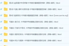 中考数学重难点专题训练 word文档