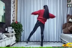 抖音热门舞蹈全攻略：从入门到精通