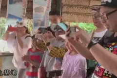 王芳老师知识脱口秀全集：历史、文化与趣闻