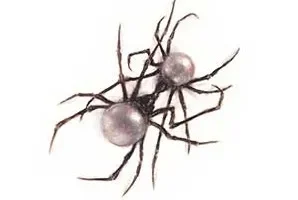 Doja Cat《Scarlet》[无损FLAC/MP3/714MB]