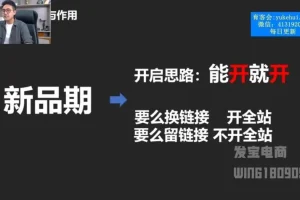 拼多多运营实战课：车神陪跑一对一，快速起量全攻略