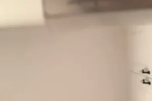 恋爱心理学：提升情商的12堂必修课