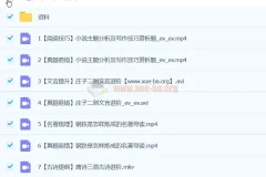 陆杰峰 2024初二语文 A+春季班下