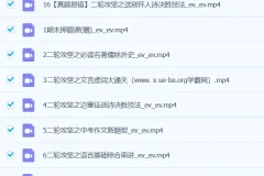 陆杰峰语文 2024初三中考语文 A+班春季 （春上）