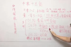 璐瑶妈妈21天英语思维训练营：从小掌握英语