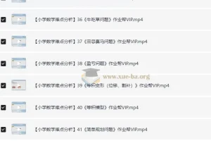 作业帮VIP 小学数学考点难点解析