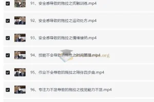付峰老师家庭教育课程 学霸养成计划