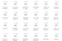 《书旗会员小说完结榜》500本精校TXT小说推荐[2G]