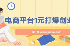 12月最新：电商平台1元打爆创业粉，简单粗暴日引500+精准创业粉，轻松月入过W