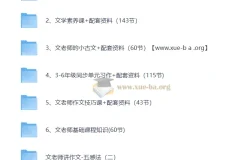 文老师语文课程合集（学习方法 基础知识 小古文 文学素养 阅读 作文 ）298GB