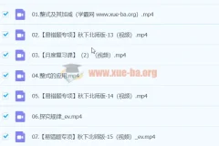 【2024A+秋季班 下】初一数学北师大（陈丽）