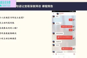 海觉-乌鸦救赎《速度与激情》情感提升课程