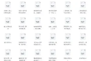 《书旗会员小说完结榜》500本精校TXT小说推荐[2G]