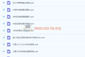 2024高三高考英语 王赞英语 秋季班