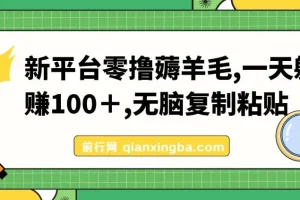 新平台零撸薅羊毛，一天躺赚100＋，无脑复制粘贴