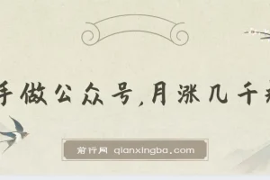 付费文章：新手做公众号，月涨几干粉，方法很简单，上手就能做
