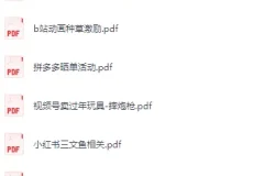 《2026年1月8日更新付费文和信息差合集，副业项目+实战技巧+认知思维》[PDF][4.2GB]