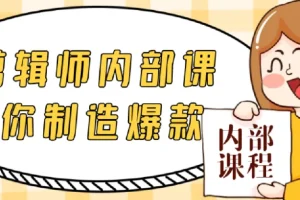 IP剪辑师内部课教你制造爆款