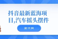 汽车摇头摆件,抖音最新蓝海项目，无门槛0基础操作，日入500+非常简单