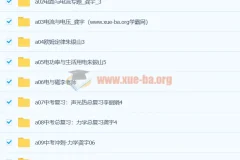 初中物理 初三物理视频教程 12章合集