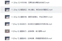 《B站付费课程 – 韩小四：瘦腿直腿居家训练全方案》[MP4]