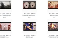 《外国油管ASMR女主播[Viva 助眠] 哄睡助眠高清合集》 [自费购买] 持续更新[MP4] [3.6G]