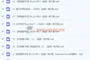 2024初三中考化学 杨雯智 A+暑假班